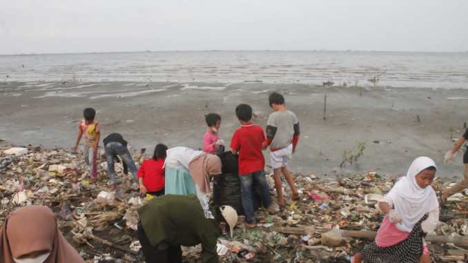 Pengabdian Masyarakat Mahasiswa Tadris Biologi IAIN Syekh Nurjati di Pesisir Pantai Kesenden Cirebon
