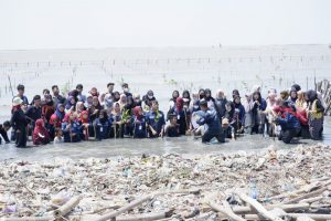 HIMBIO FITK IAIN Syekh Nurjati Cirebon, Kegiatan Penanaman Bibit Mangrove di Pantai Bondet Mertasinga Kabupaten Cirebon